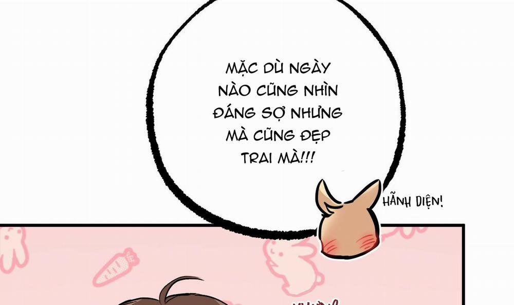 Đàn Thỏ Của Habibi 42 trang 146