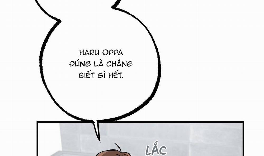 Đàn Thỏ Của Habibi 42 trang 164