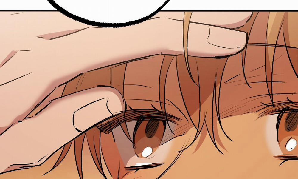 Đàn Thỏ Của Habibi 42 trang 199