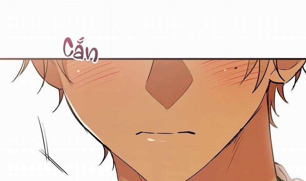 Đàn Thỏ Của Habibi 42 trang 205