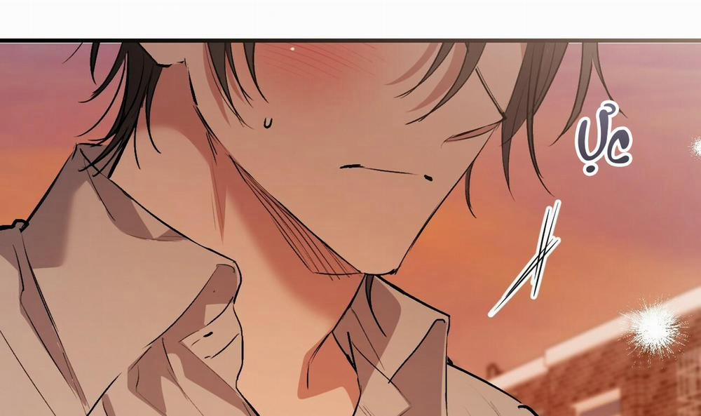 Đàn Thỏ Của Habibi 42 trang 230