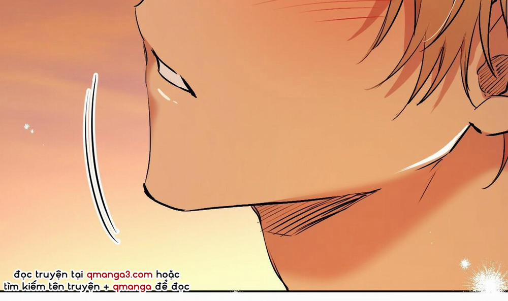 Đàn Thỏ Của Habibi 42 trang 236