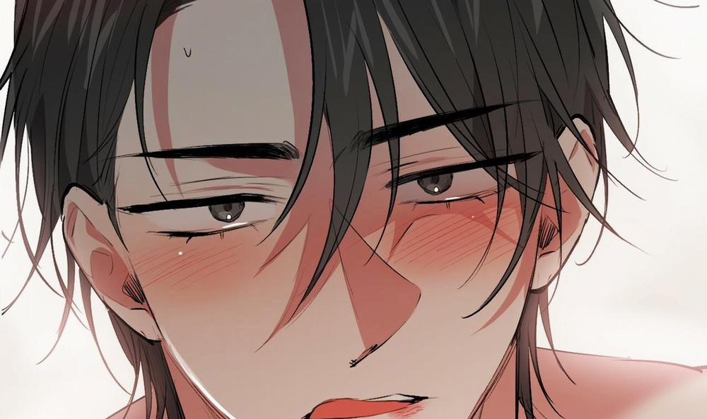 Đàn Thỏ Của Habibi 43 trang 109