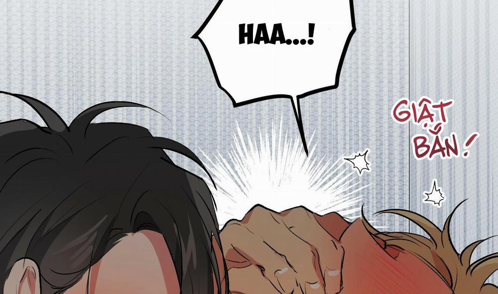 Đàn Thỏ Của Habibi 43 trang 118