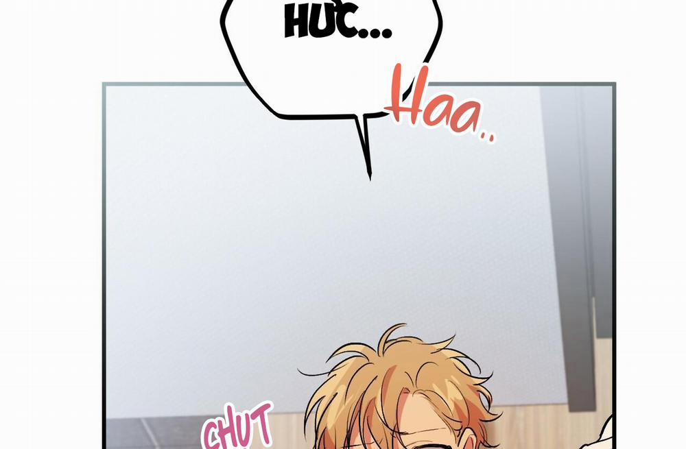 Đàn Thỏ Của Habibi 43 trang 135