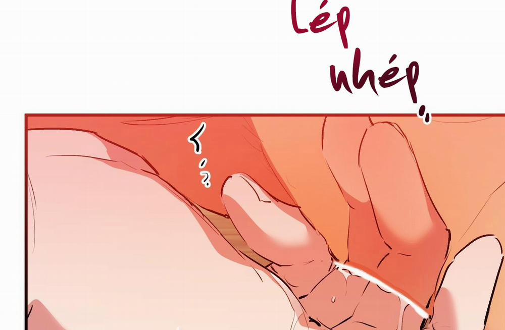 Đàn Thỏ Của Habibi 43 trang 145