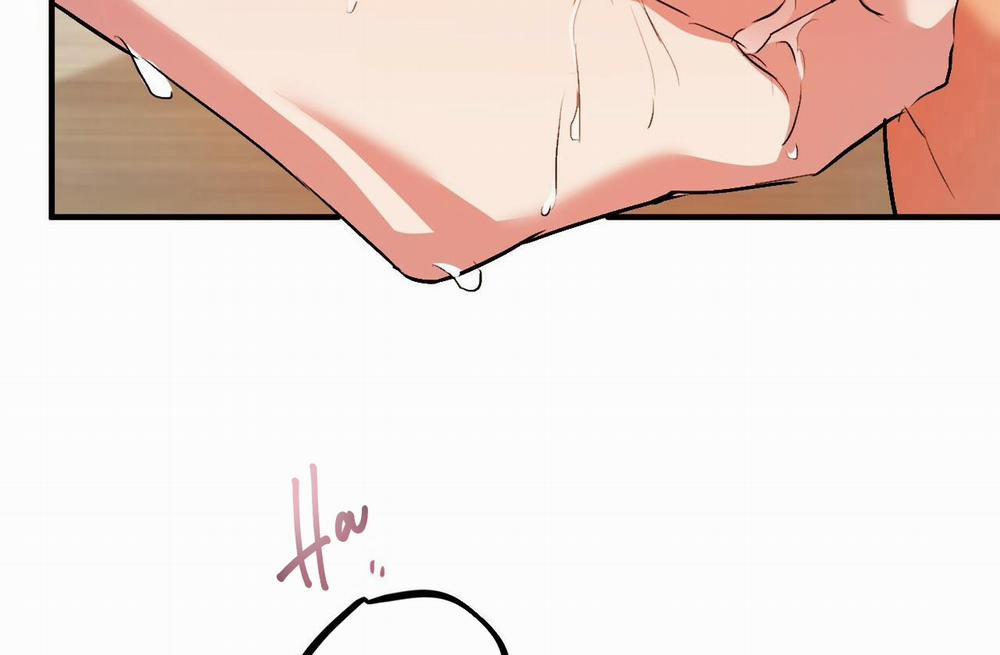 Đàn Thỏ Của Habibi 43 trang 146