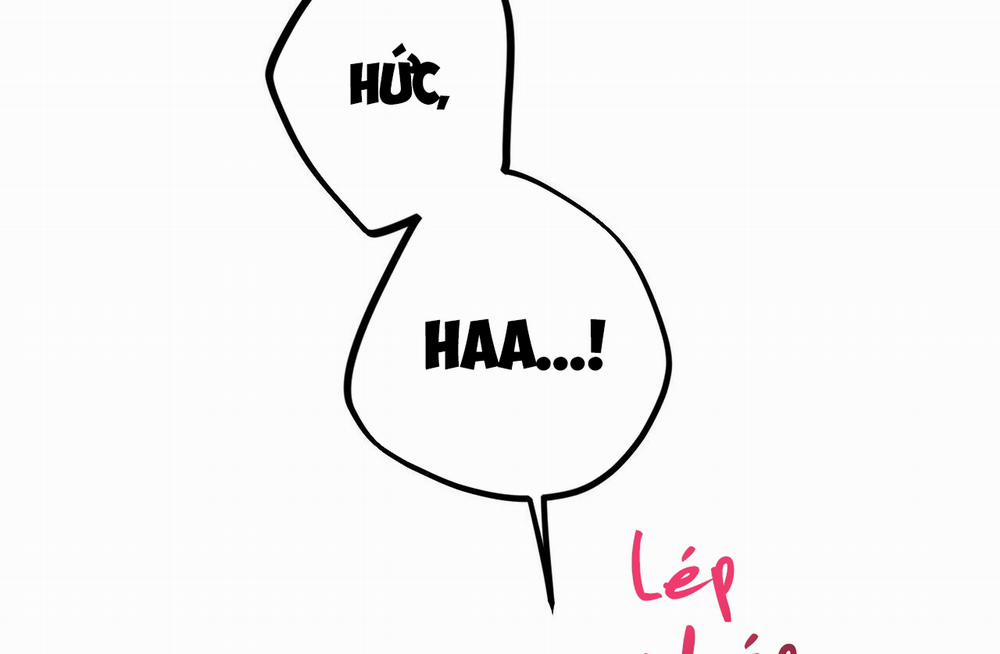 Đàn Thỏ Của Habibi 43 trang 147