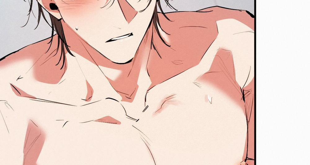 Đàn Thỏ Của Habibi 43 trang 156