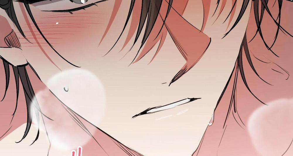 Đàn Thỏ Của Habibi 43 trang 160