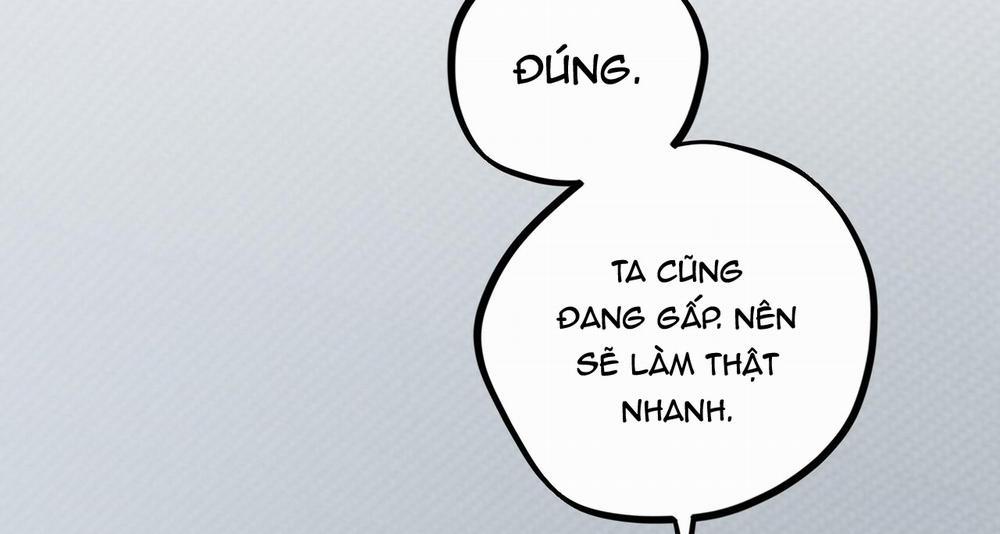 Đàn Thỏ Của Habibi 43 trang 163