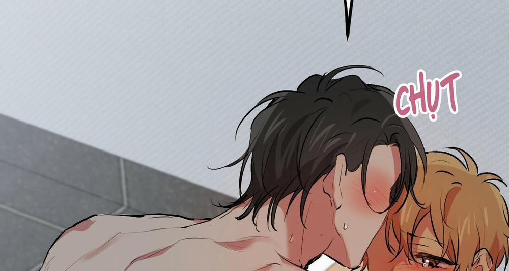 Đàn Thỏ Của Habibi 43 trang 164