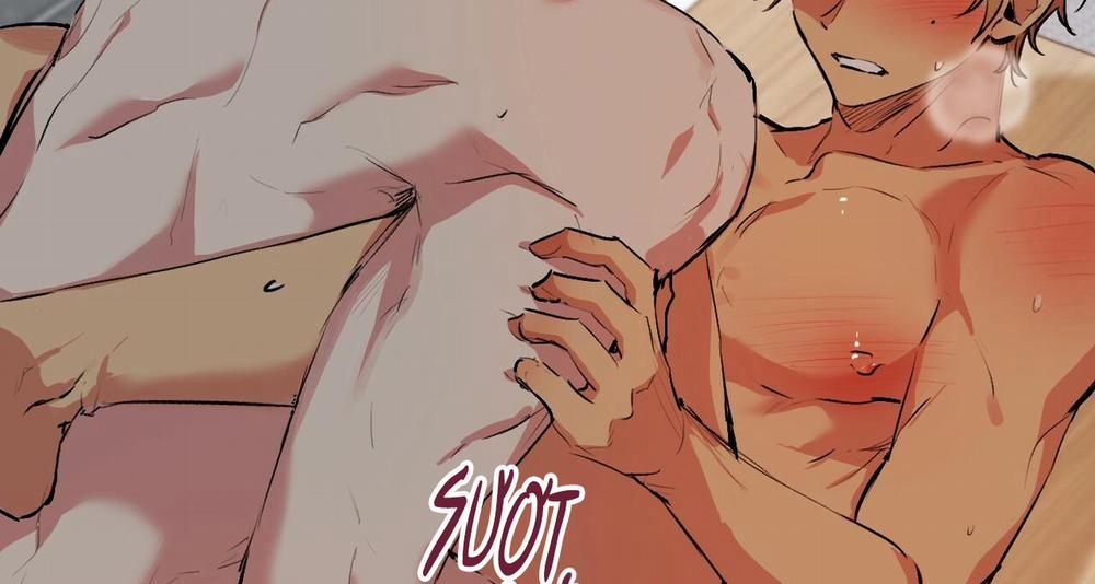 Đàn Thỏ Của Habibi 43 trang 165