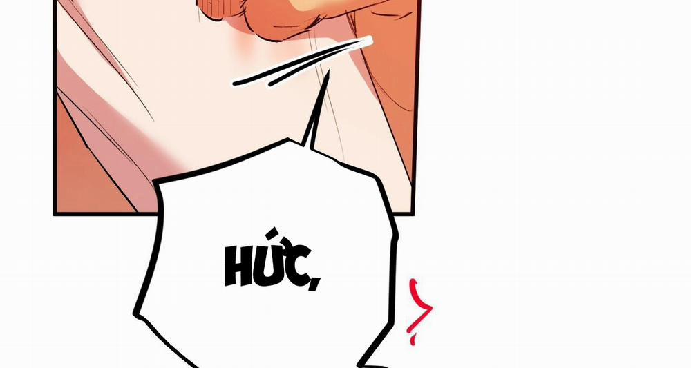 Đàn Thỏ Của Habibi 43 trang 174