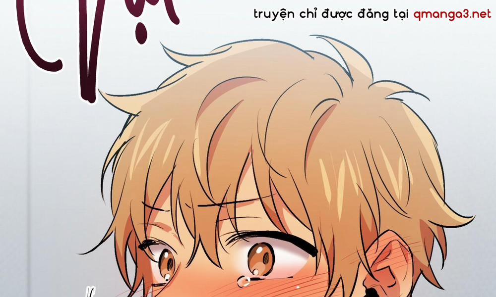 Đàn Thỏ Của Habibi 43 trang 186