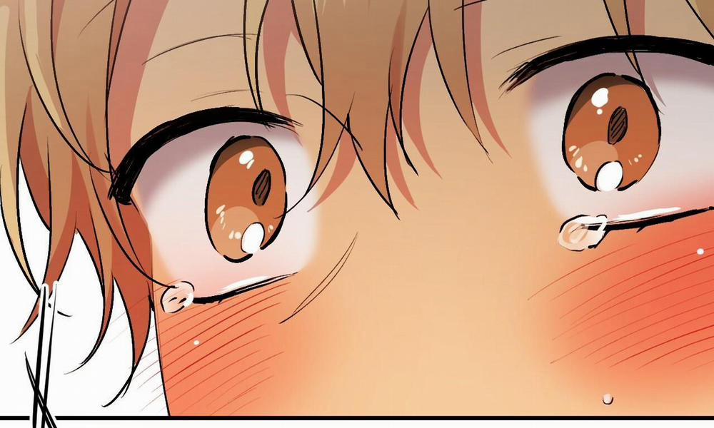 Đàn Thỏ Của Habibi 43 trang 191