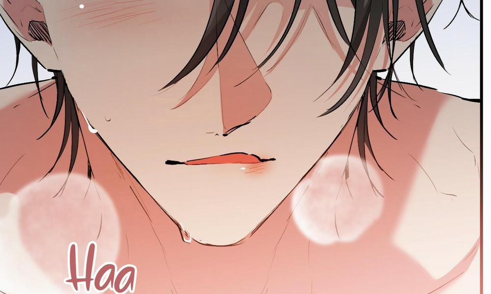 Đàn Thỏ Của Habibi 43 trang 195