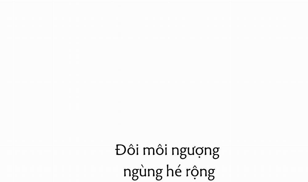 Đàn Thỏ Của Habibi 43 trang 209