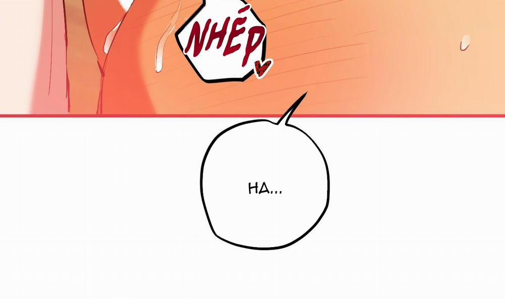 Đàn Thỏ Của Habibi 43 trang 217