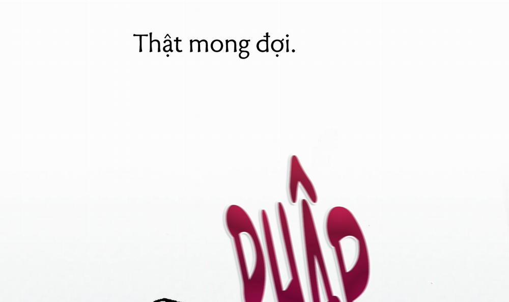 Đàn Thỏ Của Habibi 43 trang 219