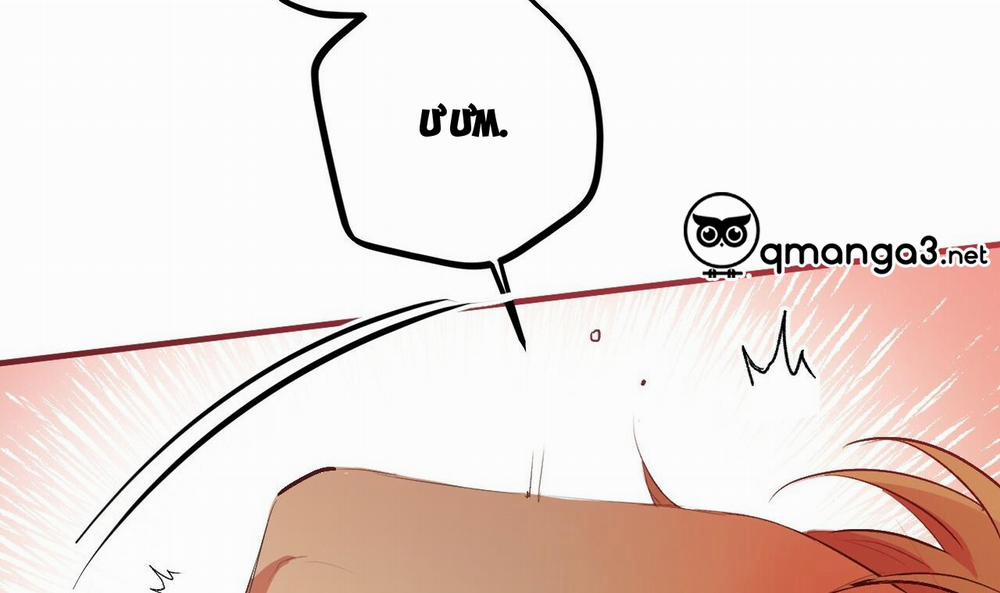 Đàn Thỏ Của Habibi 43 trang 225