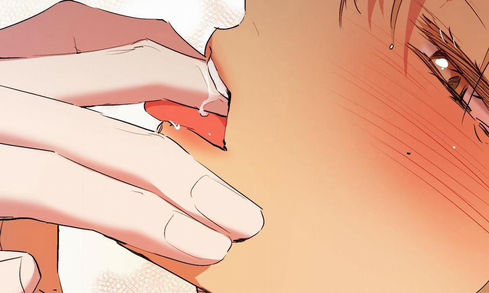 Đàn Thỏ Của Habibi 43 trang 260