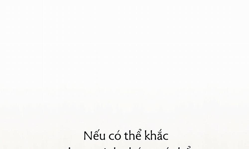 Đàn Thỏ Của Habibi 43 trang 264