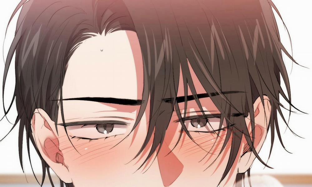 Đàn Thỏ Của Habibi 43 trang 270