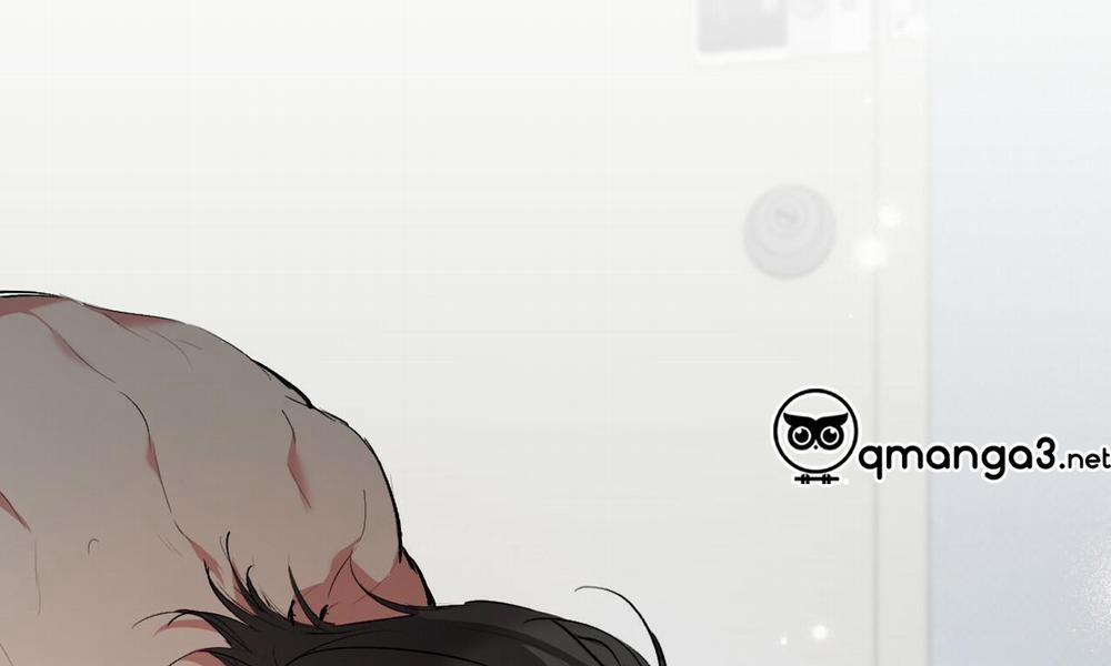 Đàn Thỏ Của Habibi 43 trang 274