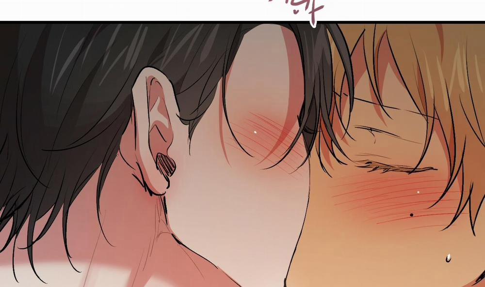 Đàn Thỏ Của Habibi 43 trang 38