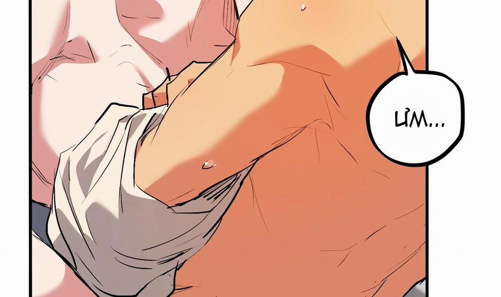 Đàn Thỏ Của Habibi 43 trang 43