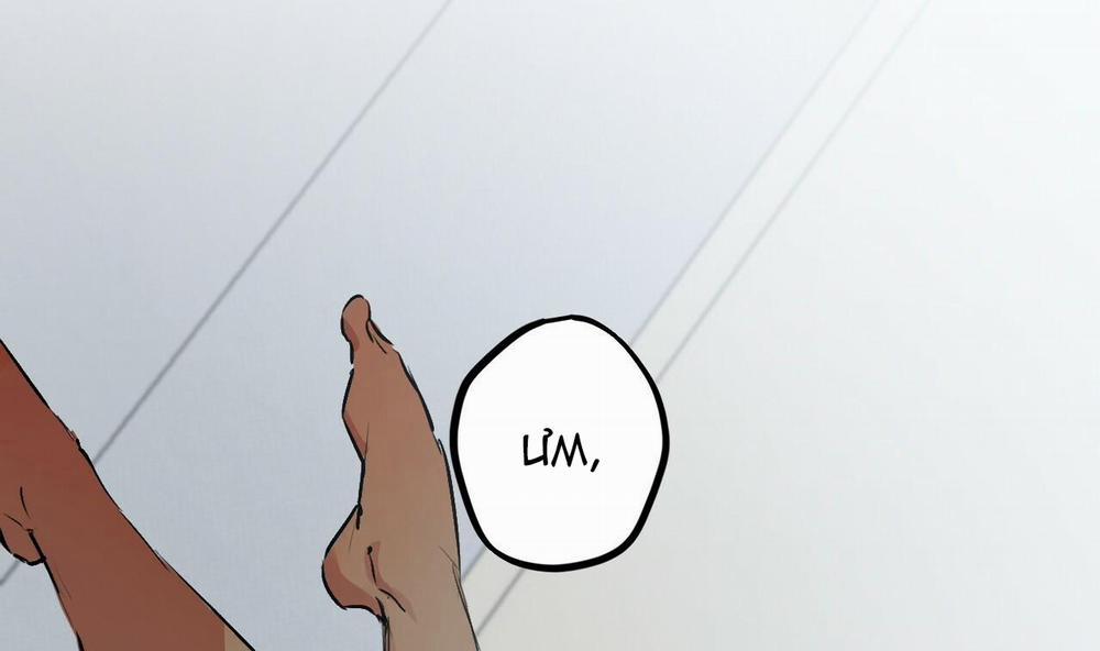 Đàn Thỏ Của Habibi 43 trang 66