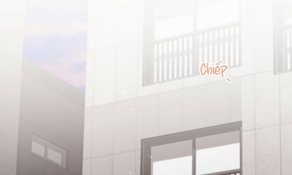 Đàn Thỏ Của Habibi 44 trang 1