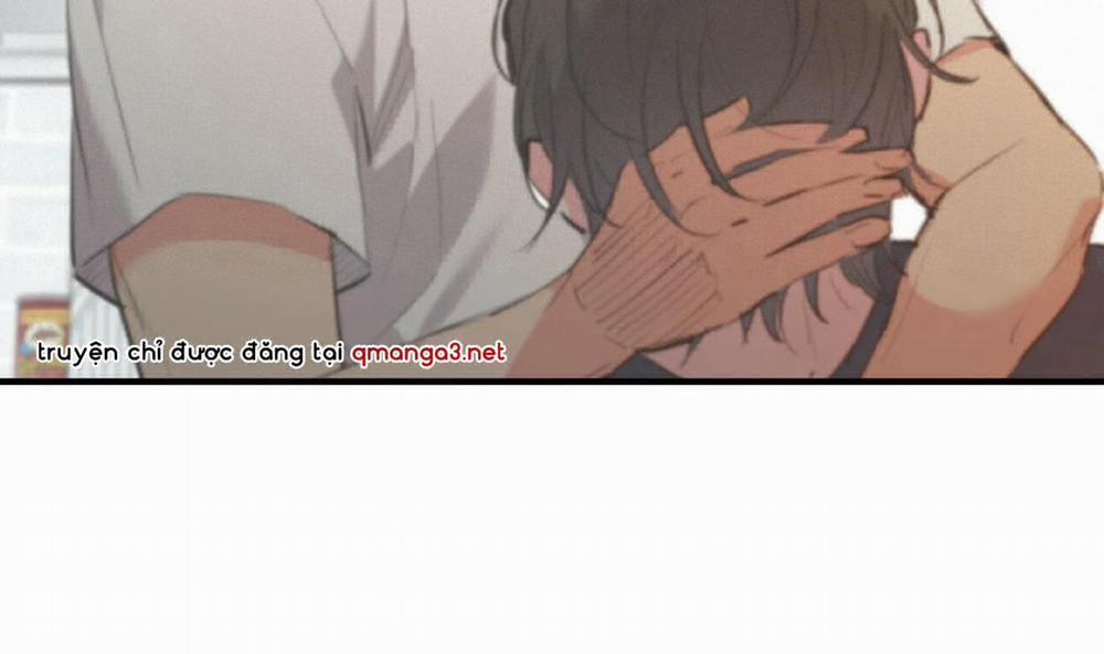 Đàn Thỏ Của Habibi 44 trang 159