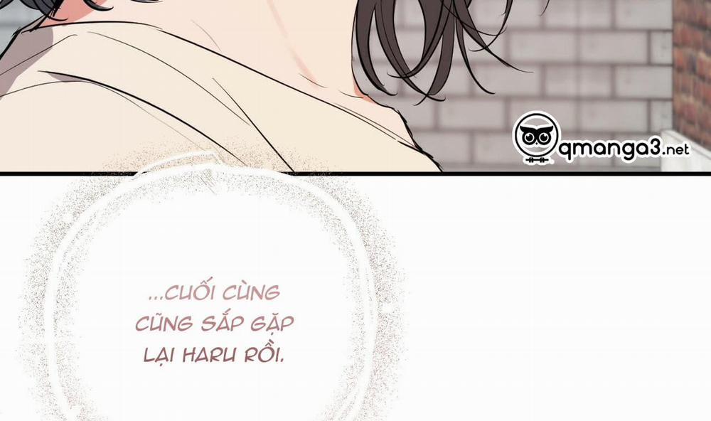 Đàn Thỏ Của Habibi 44 trang 170