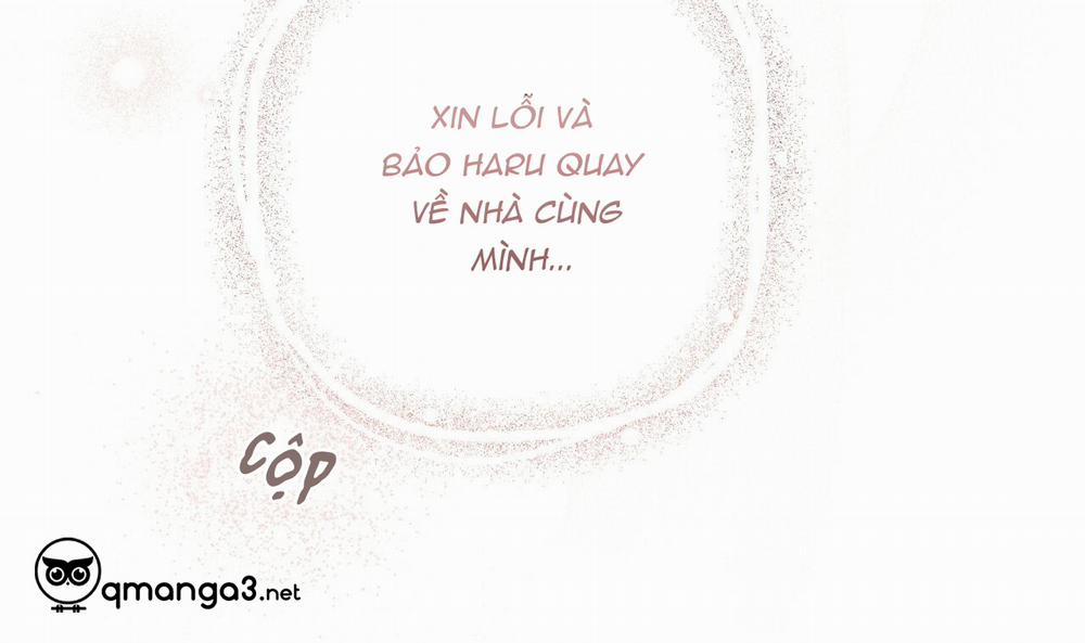 Đàn Thỏ Của Habibi 44 trang 175