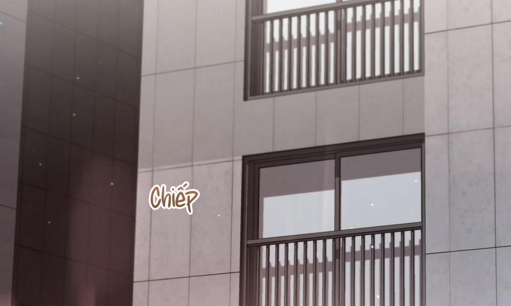 Đàn Thỏ Của Habibi 44 trang 2