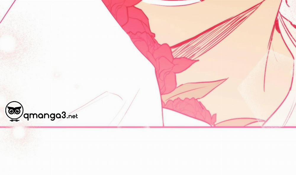 Đàn Thỏ Của Habibi 44 trang 236