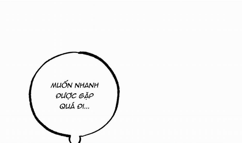 Đàn Thỏ Của Habibi 44 trang 238