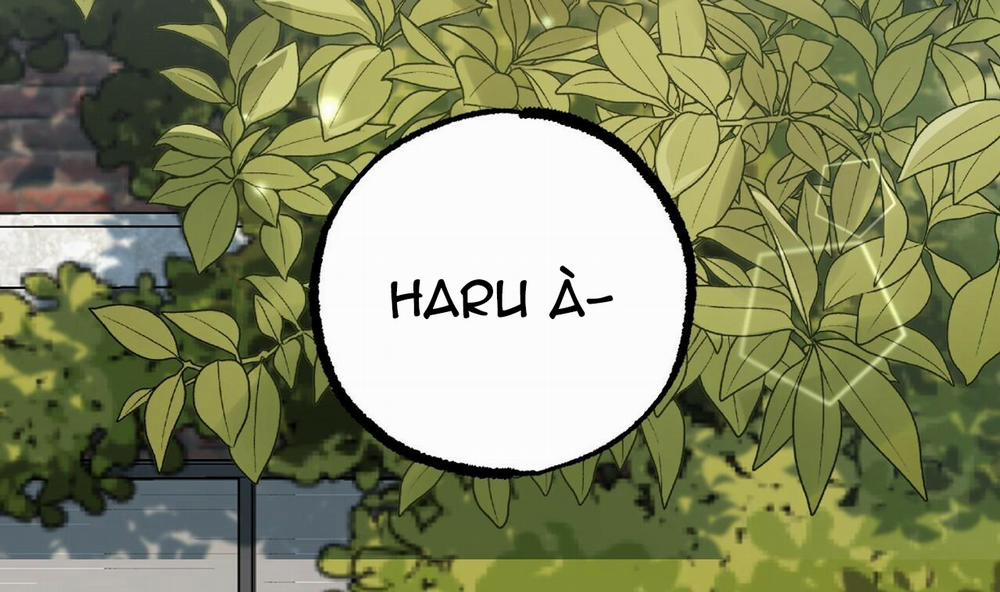 Đàn Thỏ Của Habibi 44 trang 245