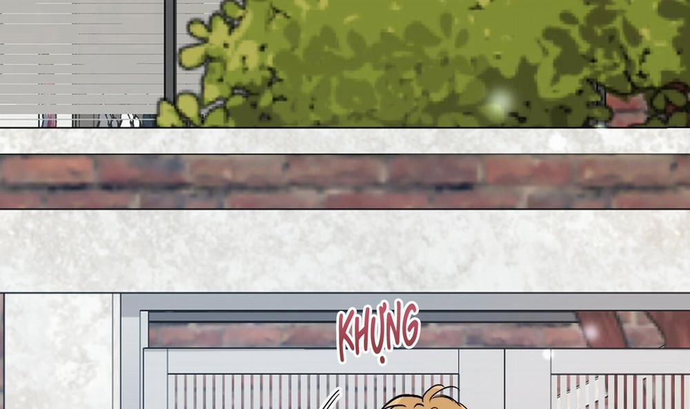 Đàn Thỏ Của Habibi 44 trang 246