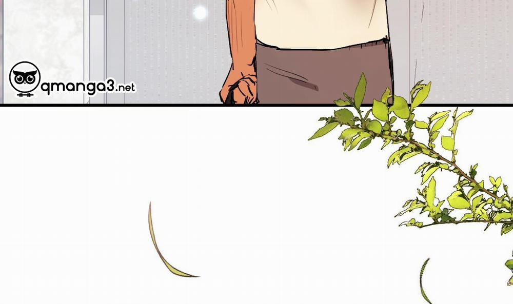 Đàn Thỏ Của Habibi 44 trang 248