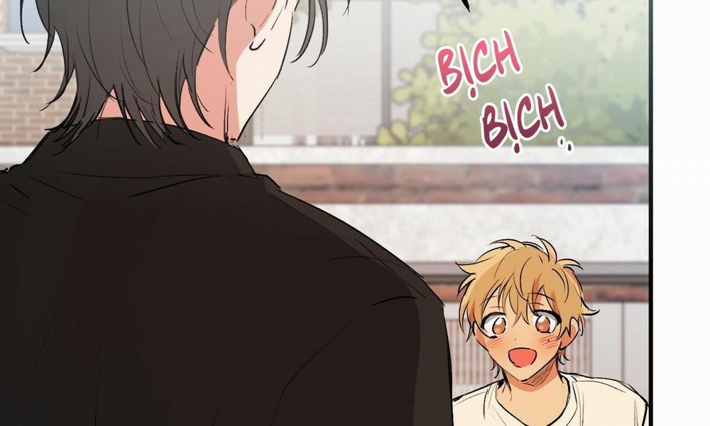 Đàn Thỏ Của Habibi 44 trang 256