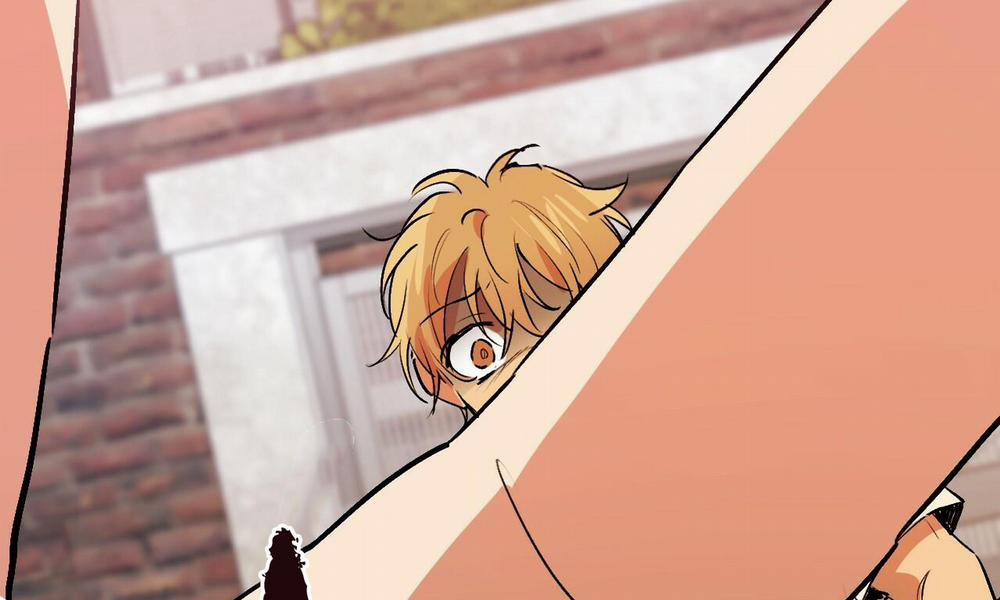 Đàn Thỏ Của Habibi 44 trang 269