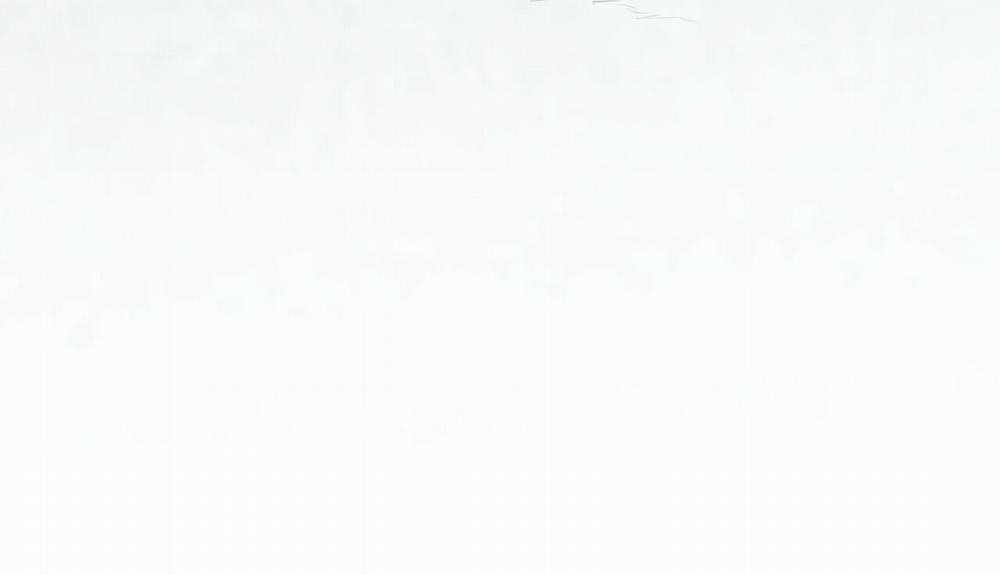 Đàn Thỏ Của Habibi 44 trang 296