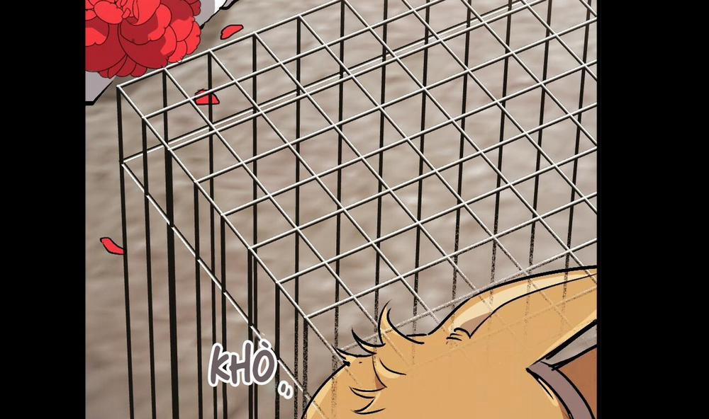 Đàn Thỏ Của Habibi 45 trang 124