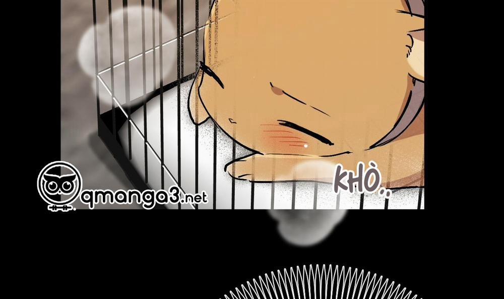 Đàn Thỏ Của Habibi 45 trang 125