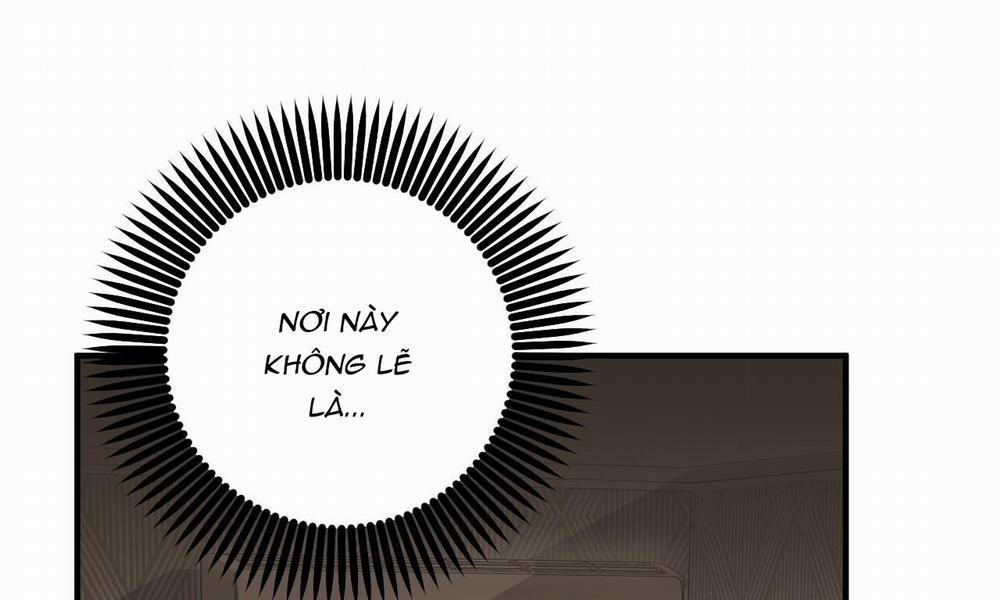 Đàn Thỏ Của Habibi 45 trang 13