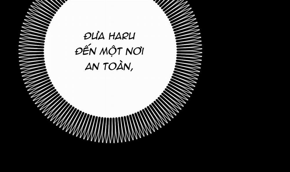 Đàn Thỏ Của Habibi 45 trang 132