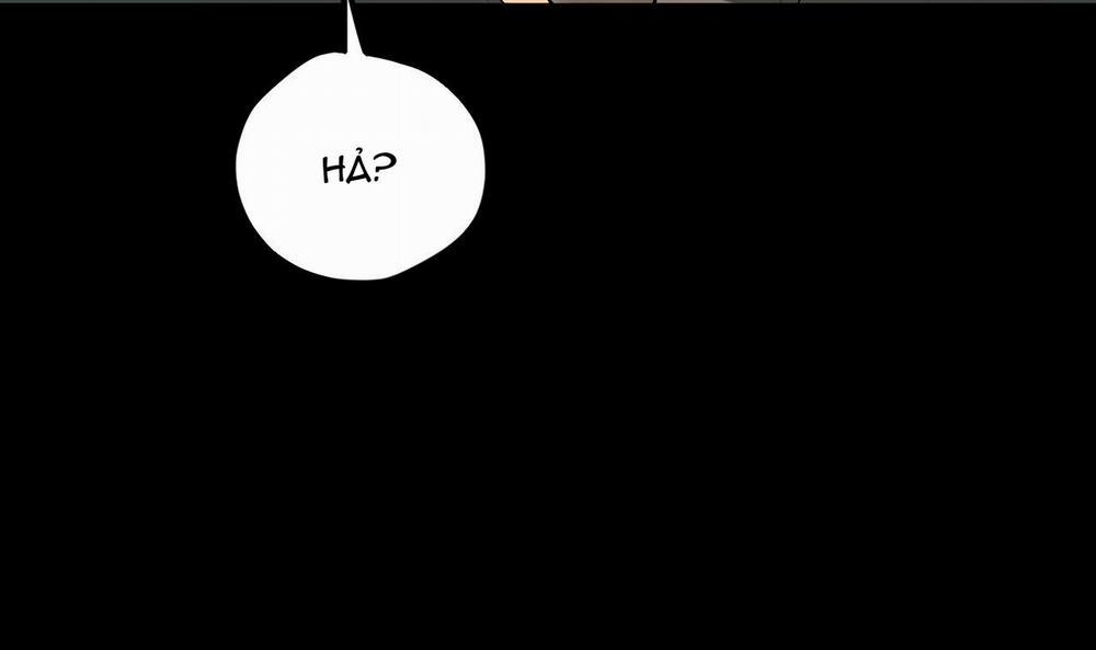 Đàn Thỏ Của Habibi 45 trang 138